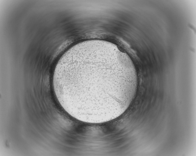 X0000095890250200802011112