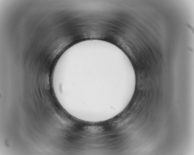 X0000095890251200802011112