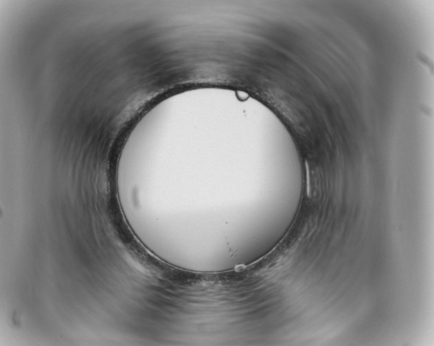X0000095890252200802011112