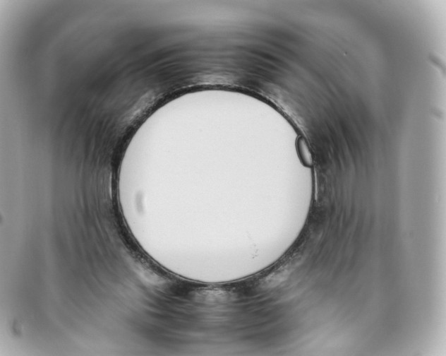 X0000095890253200802011113