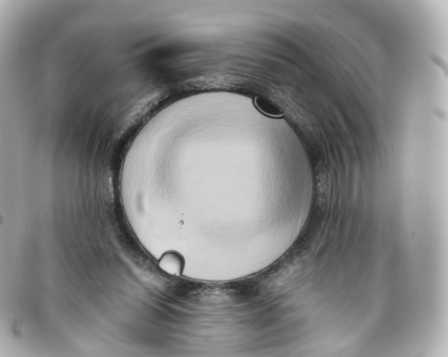 X0000095890254200802011113
