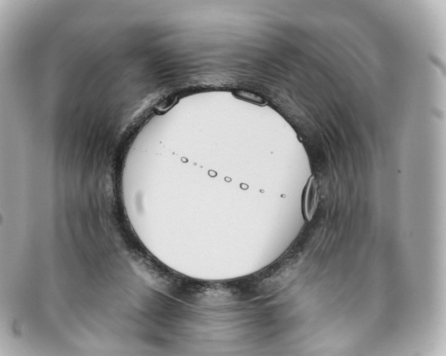 X0000095890256200802011113