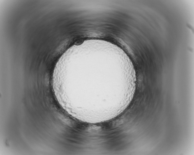 X0000095890257200802011113