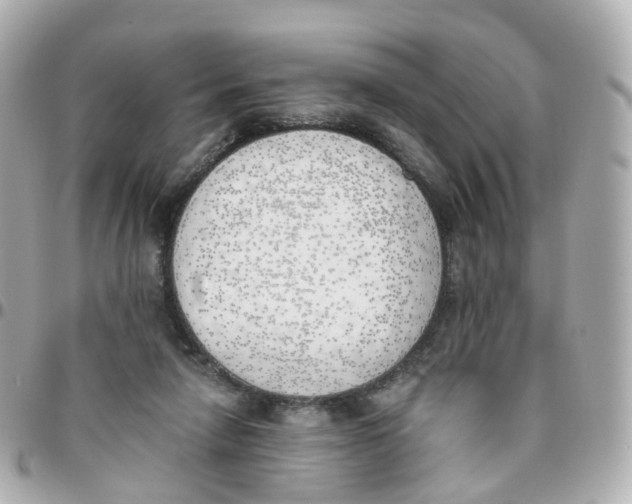 X0000095890258200802011113