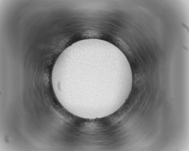 X0000095890259200802011113