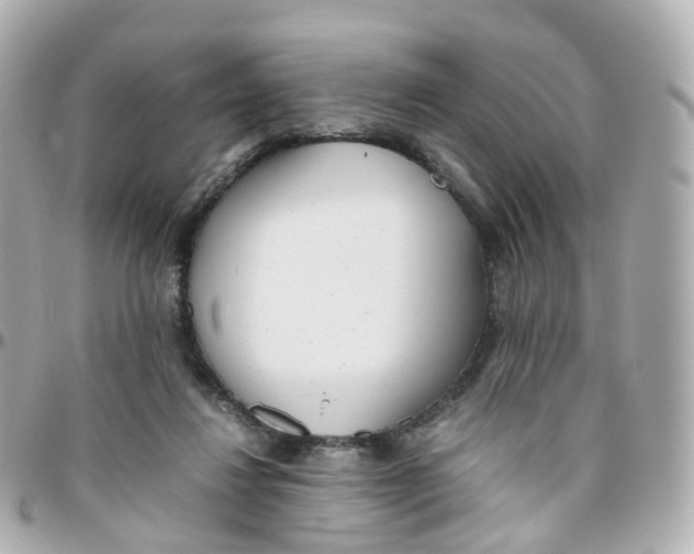X0000095890260200802011113