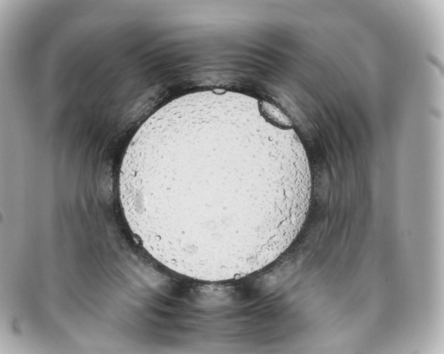 X0000095890261200802011113
