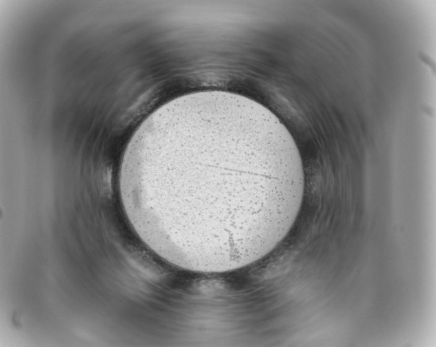 X0000095890262200802011113