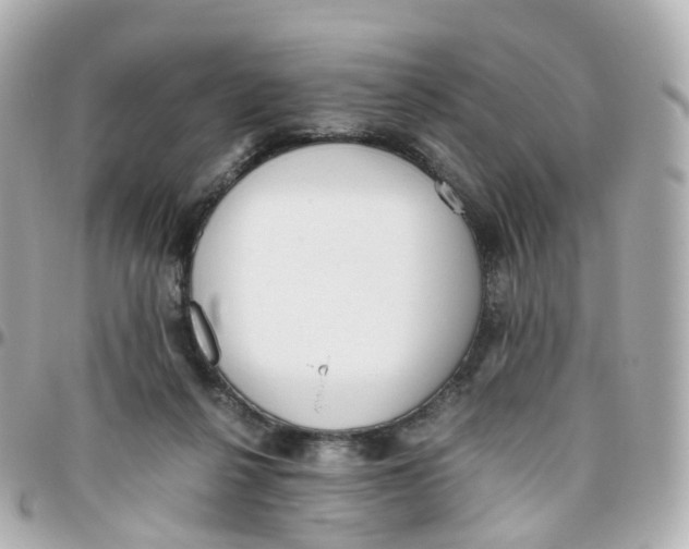 X0000095890264200802011113