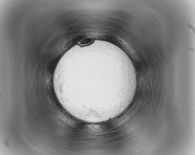 X0000095890265200802011113