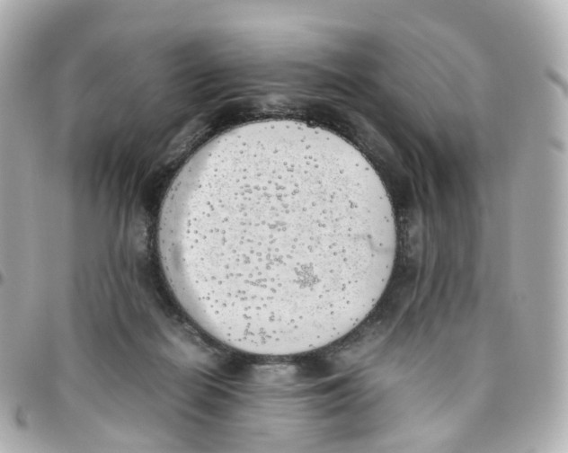 X0000095890266200802011113