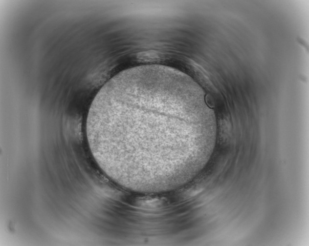 X0000095890267200802011113