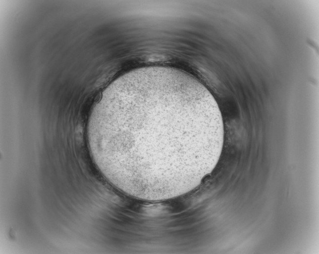 X0000095890269200802011113