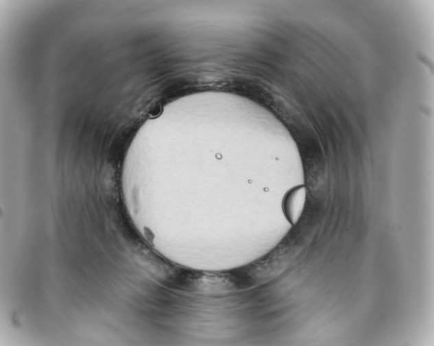 X0000095890270200802011113