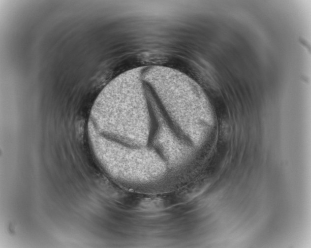 X0000095890271200802011113