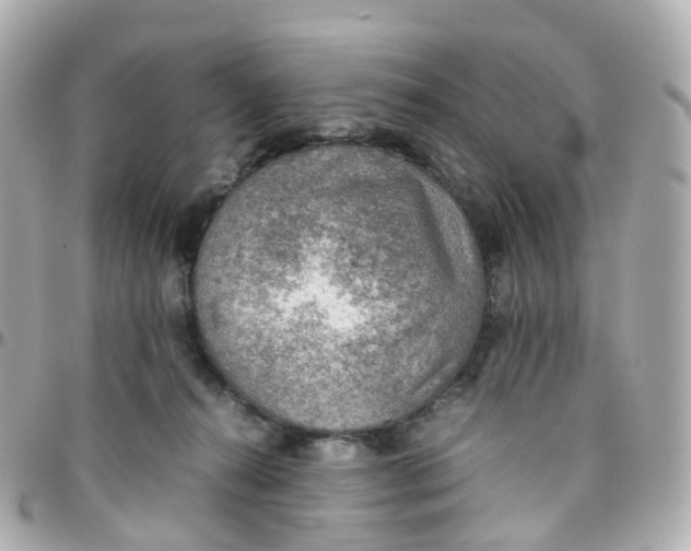 X0000095890272200802011113
