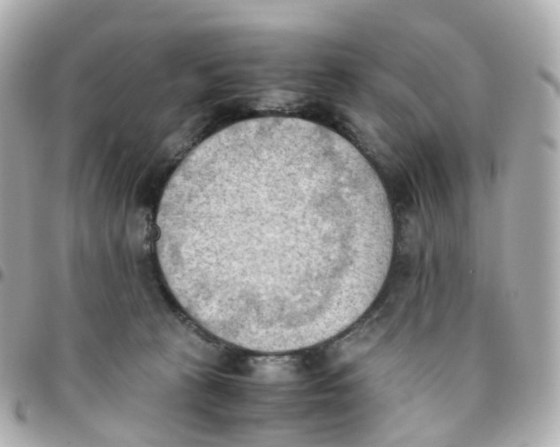 X0000095890273200802011113