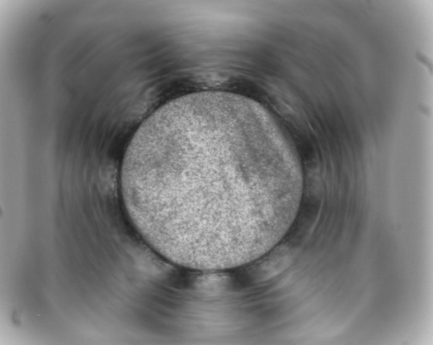 X0000095890274200802011113