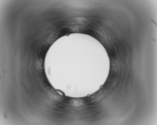 X0000095890275200802011113