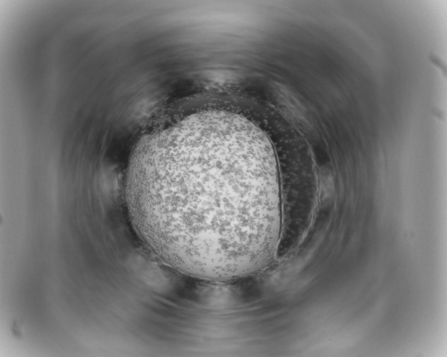 X0000095890276200802011113