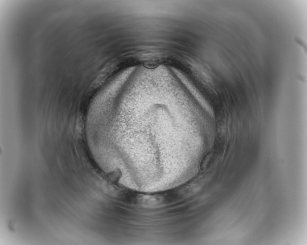 X0000095890277200802011113