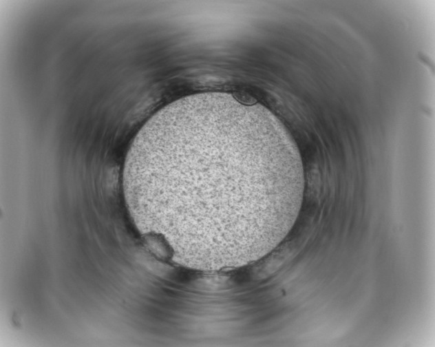 X0000095890278200802011113