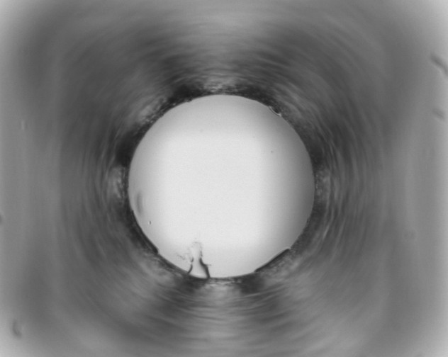 X0000095890280200802011113