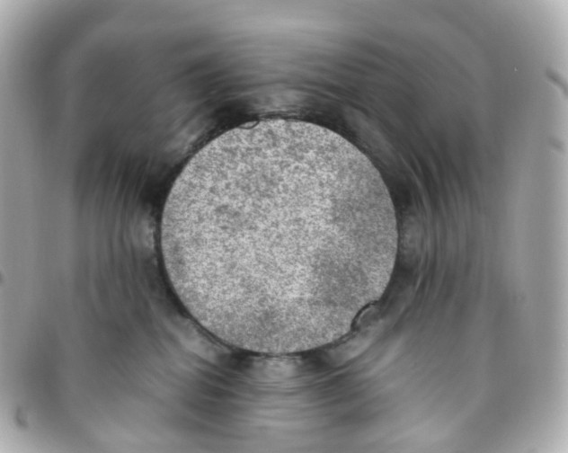 X0000095890282200802011113