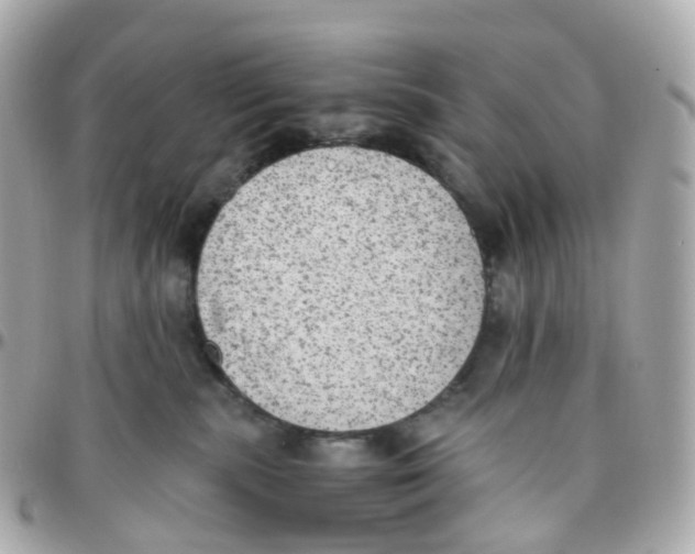 X0000095890283200802011113