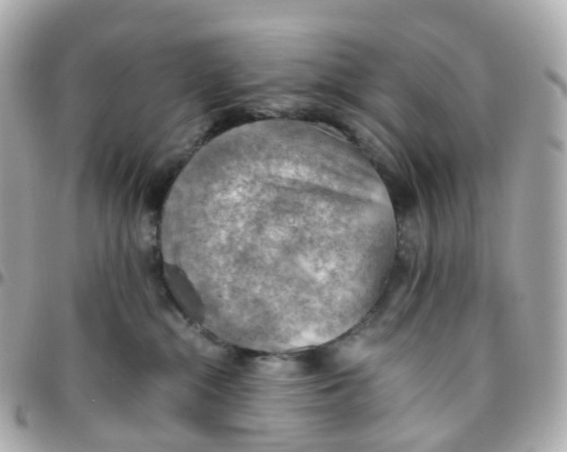 X0000095890284200802011113