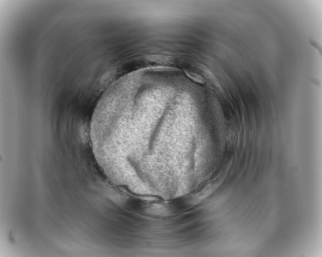 X0000095890285200802011113