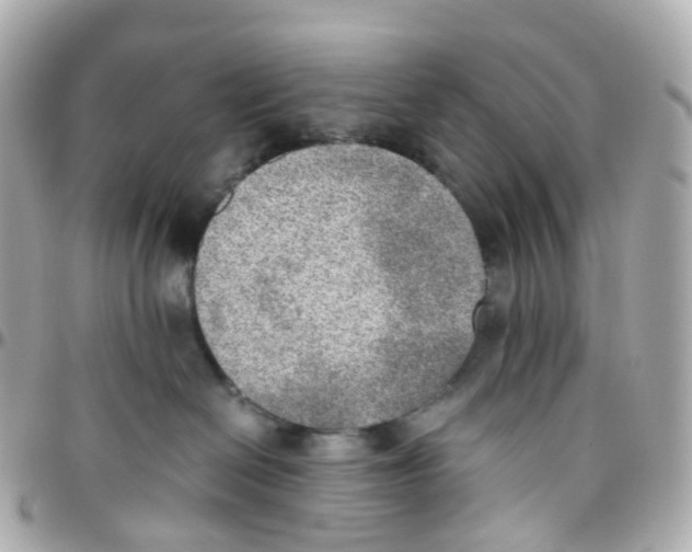 X0000095890286200802011113