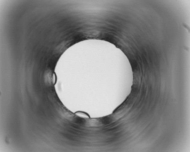 X0000095890287200802011113