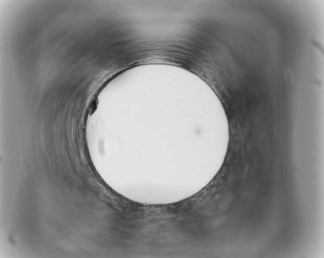 X0000095890289200802011112
