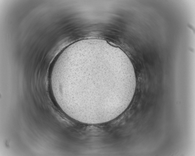 X0000095890290200802011112