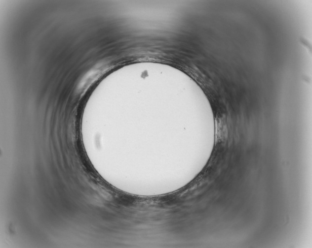 X0000095890291200802011112