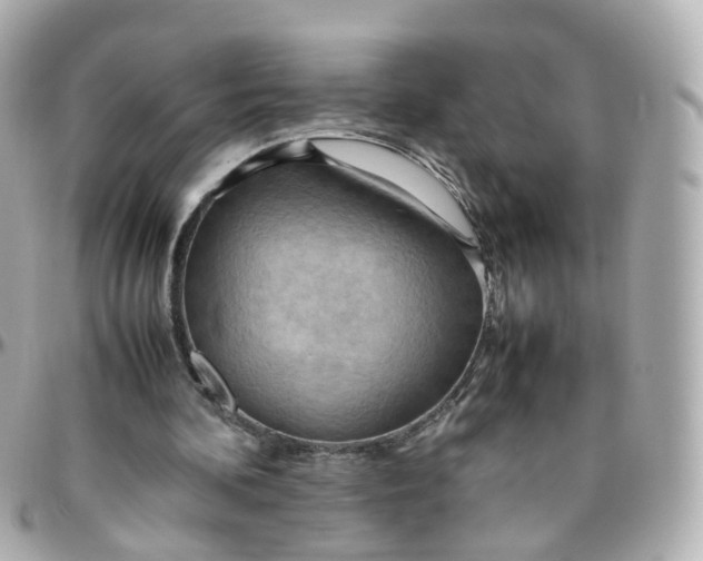 X0000095890292200802011112