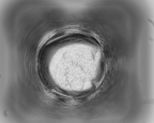 X0000095890293200802011112