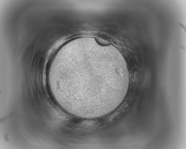 X0000095890294200802011112