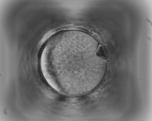 X0000095890295200802011112