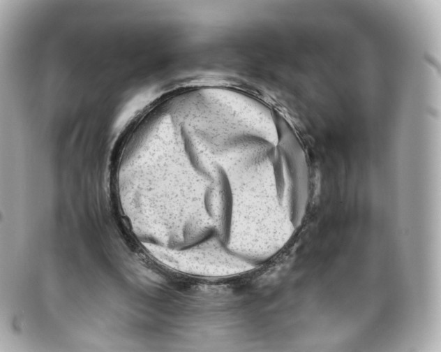 X0000095890296200802011112