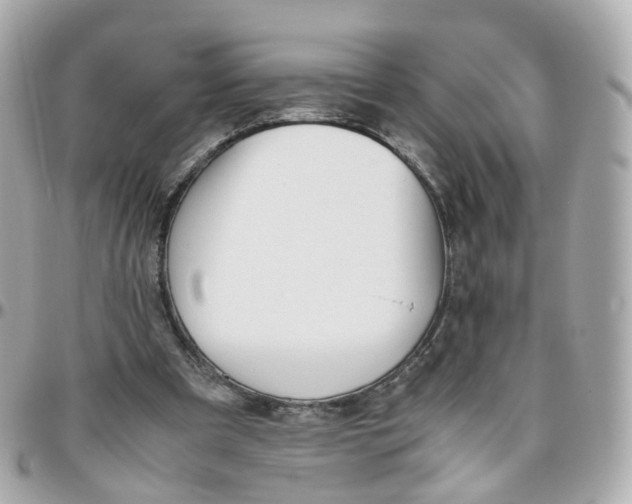 X0000095890297200802011112