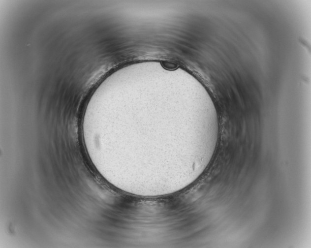 X0000095890298200802011112