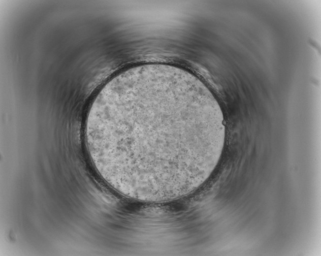 X0000095890299200802011112