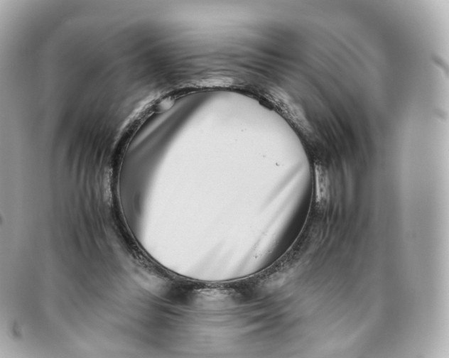 X0000095890300200802011112