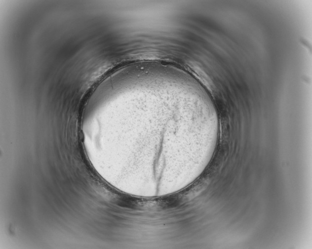 X0000095890301200802011112