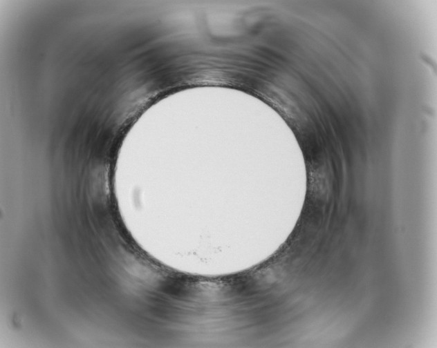 X0000095890302200802011112