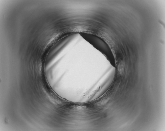 X0000095890304200802011112