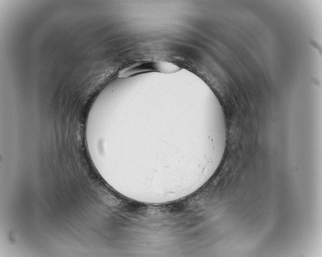 X0000095890305200802011112