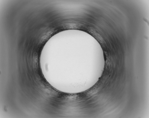 X0000095890306200802011112